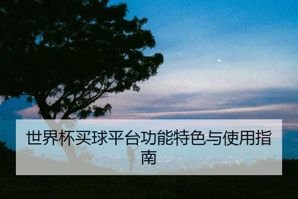 世界杯买球平台功能特色与使用指南