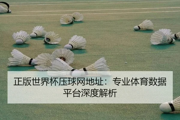 正版世界杯压球网地址：专业体育数据平台深度解析
